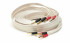 True Colours Industries (TCI) Sidewinder Terminated